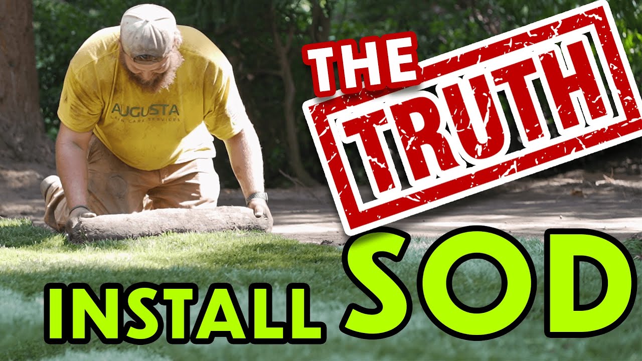 sod-install-lawn-replacement-what-your-landscaper-is-not-telling-you