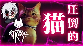 【STRAY】 サイバーパンクの世界で可愛い猫を操作するゲームが癒やされる...【VTuber】