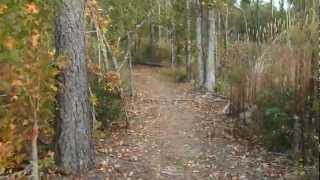 Celebrity Pine Mountain Trail - Wolfden Loop Net Worth