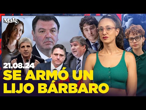 EL SENADO INTERROGA