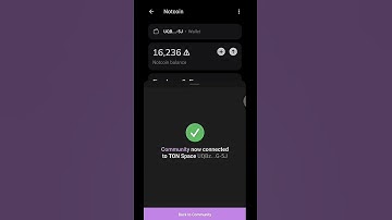 Notcoin crypto Journey #crypto #Notcoin #cryptocurrency #viralcrypto #cryptojoyboy