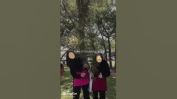 Capcut best template link in pin comment #xml #fypシ #template #capcut #jaaa4 #tiktok #edit #reels