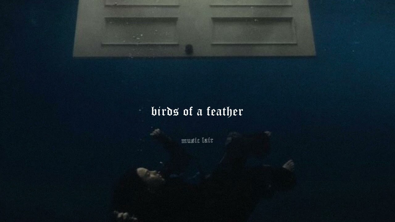 billie eilish - birds of a feather (slowed)