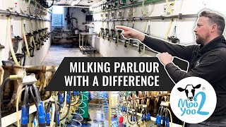 Milking Parlour with a Difference - Moo 2 Yoo