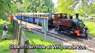 All Aboard the Steam Train at Whipsnade Zoo