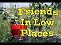 Friends In Low Places