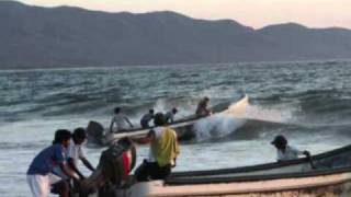 Video thumbnail of "El pescador  con Celso Piña ft. Lila Downs"
