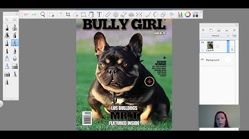 How to add an image in Autodesk SketchBook