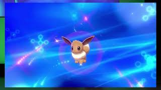 Animest - Dimanche - 20 - Nafali