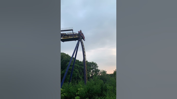 全台灣最快雲霄飛車🎢