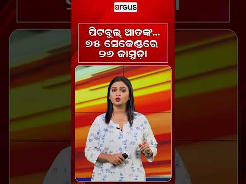 ପିଟବୁଲ୍‌ ଆତଙ୍କ... ୭୫ ସେକେଣ୍ଡରେ ୨୬ କାମୁଡା | Pitbull Attack | Dangerous Breeds | Pet Safety