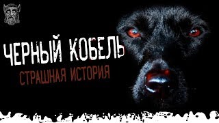 Страшные истории и мистика. Чёрный кобель Жук Страшные истории и мистика. Чёрный кобель Жук