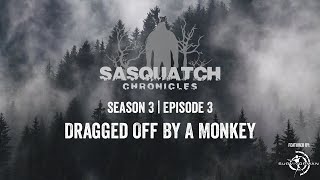 Sasquatch Chronicles ft. Les Stroud | Season 3 | Episode 3 | Dragged Off By A Monkey