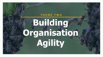 Webinar: A Roadmap for Progress - CRF