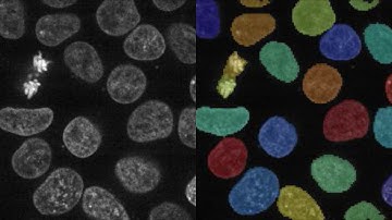 3D analysis with CellProfiler3.0