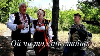 Ой чи то кінь стоїть. Народна пісня України.