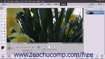 Photoshop Elements 2018 Tutorial Moving the Image Adobe Training