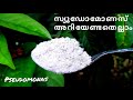 സ്യൂഡോമോണസ് ലായിനി ഉപയോഗവും ഗുണങ്ങളും|pseudomonas solution for plants|