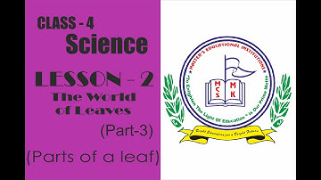 CLASS-4 : Science, LESSON 2- The World of Leaves (PART-3)