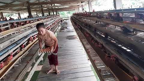 Mus saib qaib nteg qe nawb