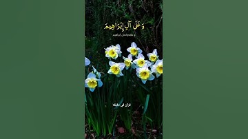قران كريم ارح قلبك وسمعك #قران_في_دقيقة #quran #المصحف #قران #رعد_الكردي @قران_في_دقيقة