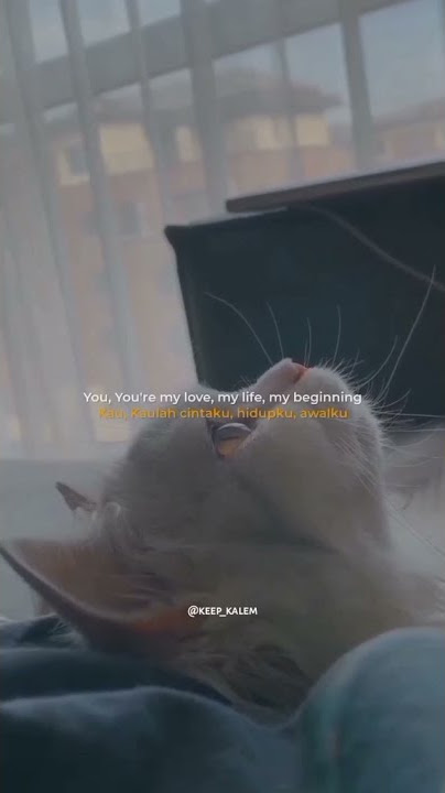 It's You - Sezairi Sezali (Lirik Lagu Terjemahan)