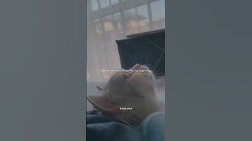 Thumbnail of It's You - Sezairi Sezali (Lirik Lagu Terjemahan)
