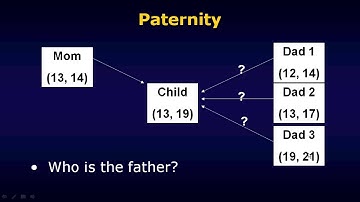 Implications of database searches for DNA profiling statistics (HD version)