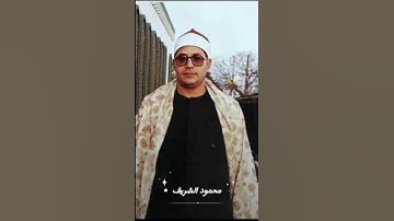 من سورة النمل .. رائعه ميت غمر