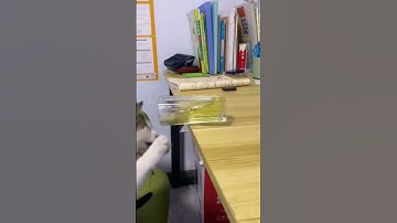 HOW TO YOUTUBE SHORT VIDEO 2024 || #youtubevideos  #ytshorts  #shortvideos