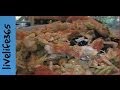 How To Make A Killer Kitchen Sink Tuna Salad How To Make A Killer Kitchen Sink Tuna Salad