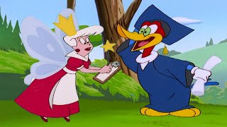 Woody Goes To Nature School | Woody Woodpecker