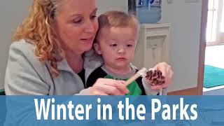 Winter in Findlay Parks
