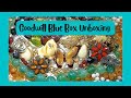 Goodwill Bluebox Jewelry Unboxing Florida Goodwill