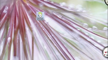 AutoCountVideo 02 Common Layout