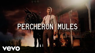 Смотреть клип Tyler Childers - Percheron Mules (Lyric Video)