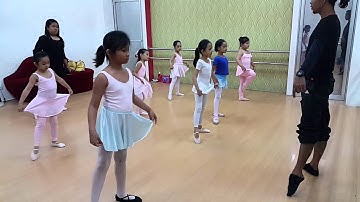 Twinkle Toes Ballet Class - Teacher Nordic Caraig