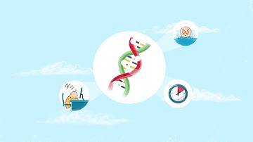 MyVytalics (Explainer video by MyeVideo)