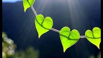 Acim Lesson 4 These thoughts do not mean anything