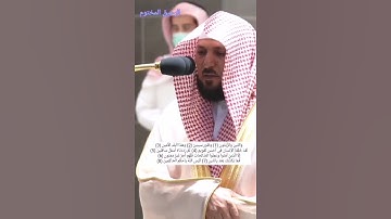 ماهر المعيقلي - سورة التين