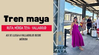 Cómo llegar en TREN MAYA a Valladolid Pueblo mágico desde Mérida Yucatán