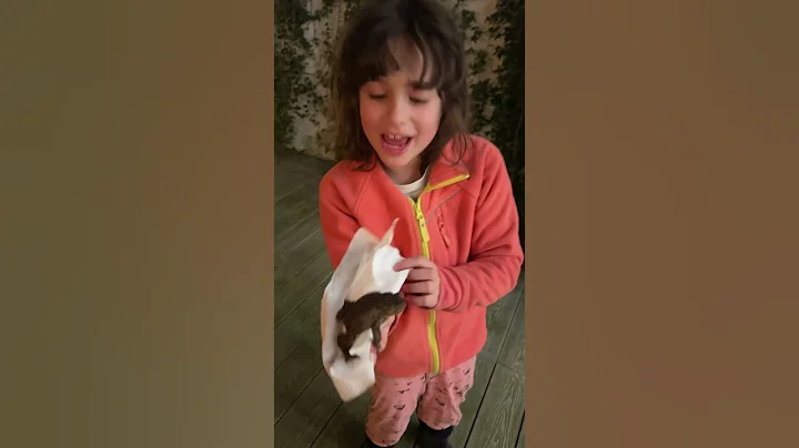 This is why you should NEVER pick up a Toad |Limitless Rose #shorts #toad