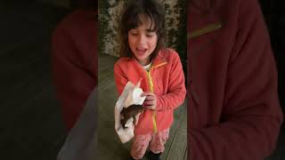 This is why you should NEVER pick up a Toad |Limitless Rose #shorts #toad