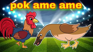 Bebek Nyosor Dan Animasi Ayam | Pok Ame Ame | Lagu Anak Anak