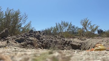 Composting In The Desert.. what will happen next?!?