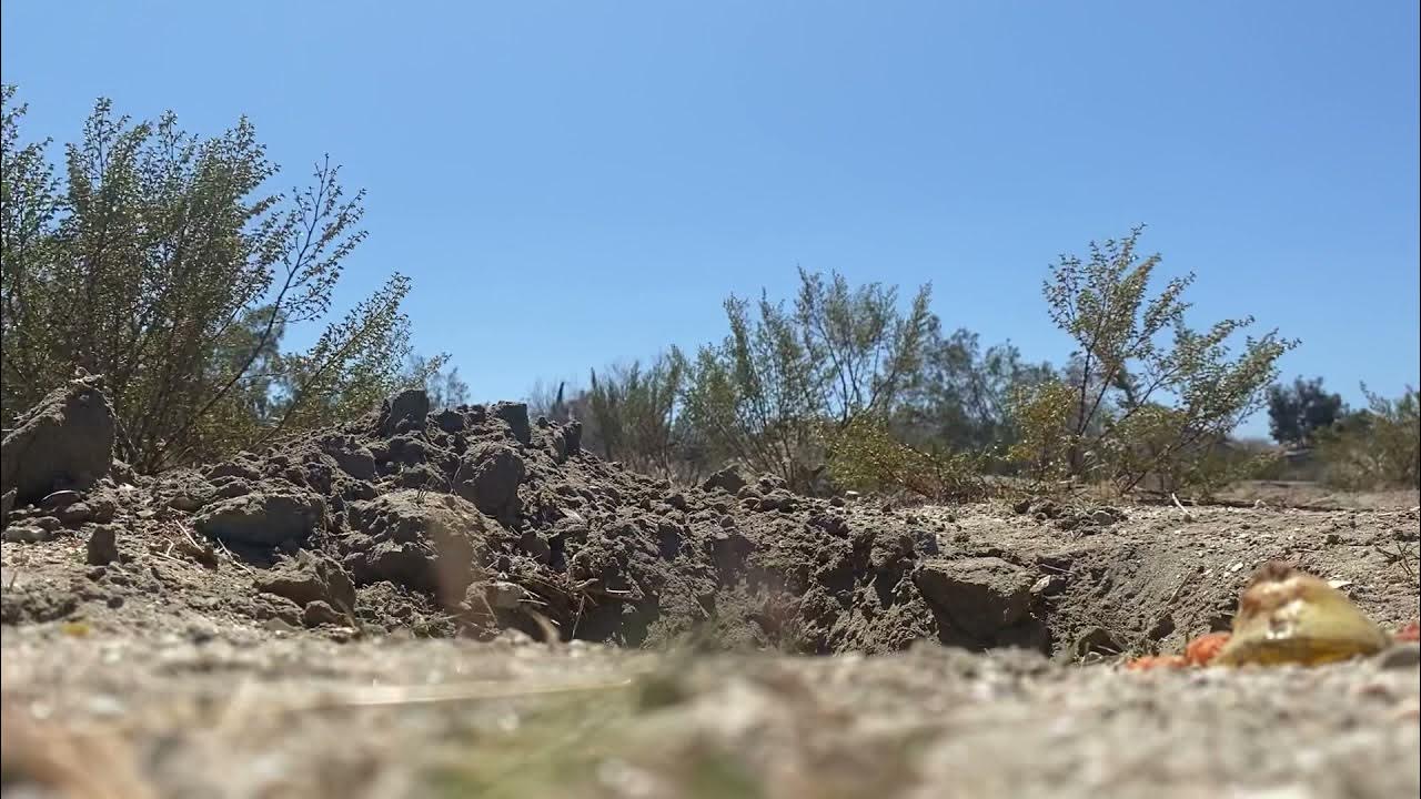 Composting In The Desert.. what will happen next?!? YouTube