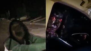 Where Did These Videos Come From?