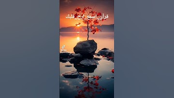 #بسم_الله_الرحمن_الرحيم #سورة_الشرح #قرآن #دويتو #اكسبلور #ترند #لايك