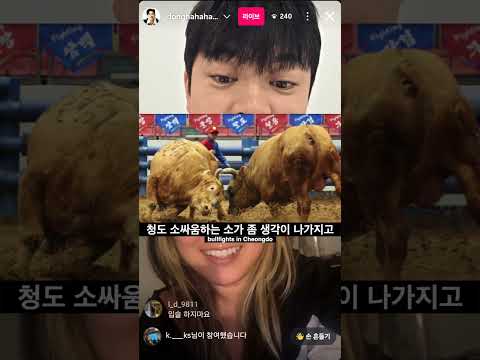글로벌하게 조롱하기