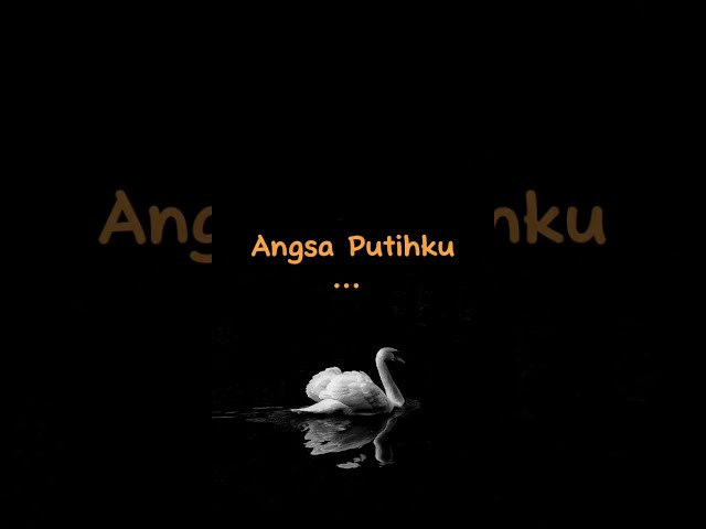 Arwana - Angsa Putih | Lirik Lagu lawas Indonesia class=